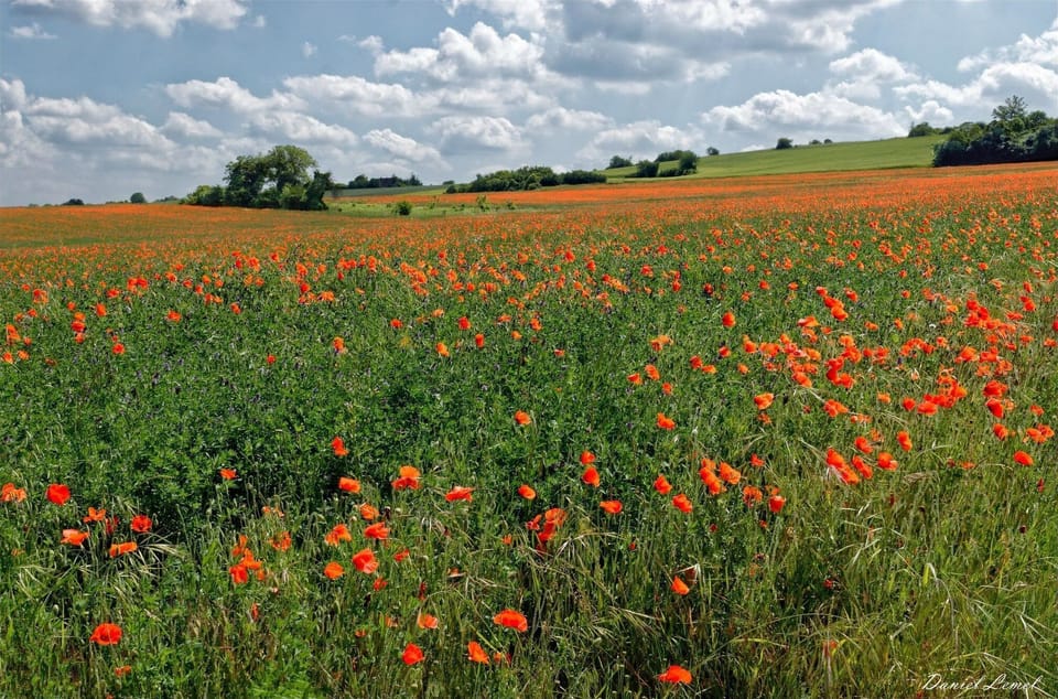 Surroundings [summer] (1-5 km)