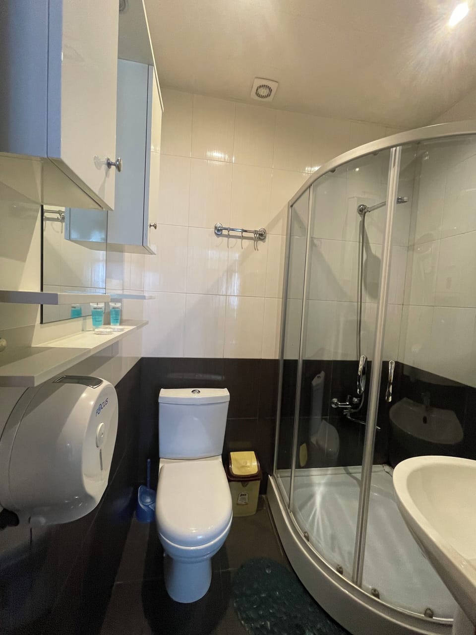 Standard Room, 1 Double Bed | Bathroom | Free toiletries, hair dryer, slippers