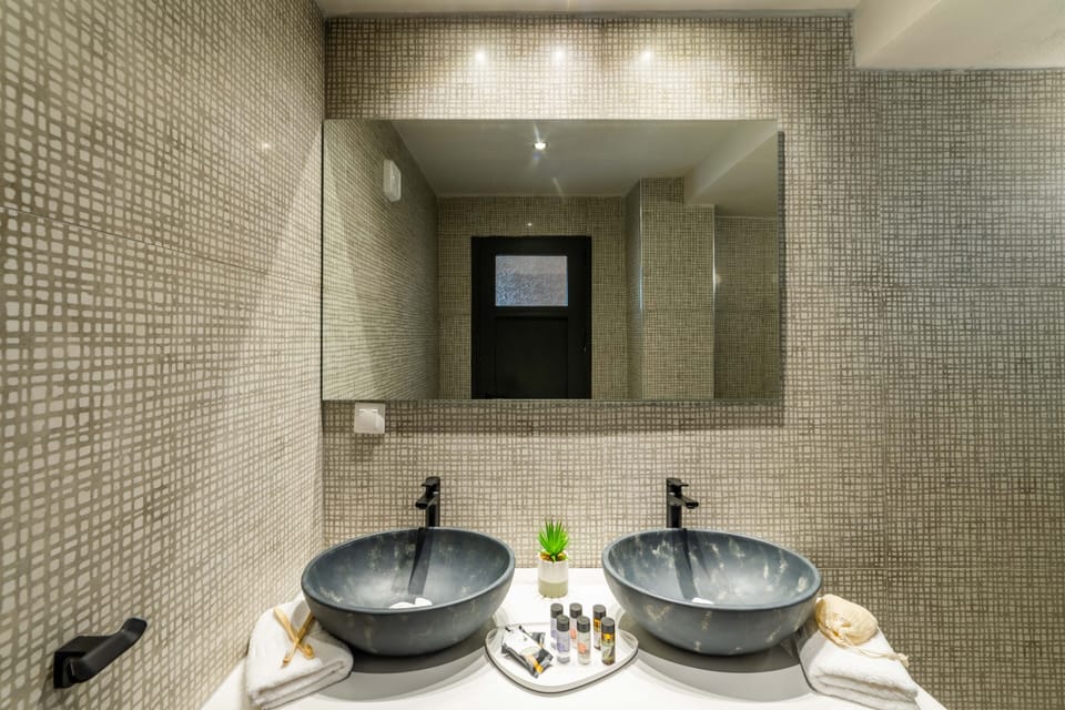 Deluxe Suite | Bathroom | Shower, free toiletries, hair dryer, slippers