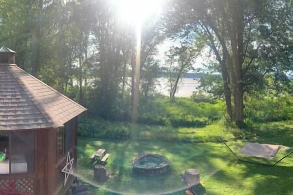 Backyard View