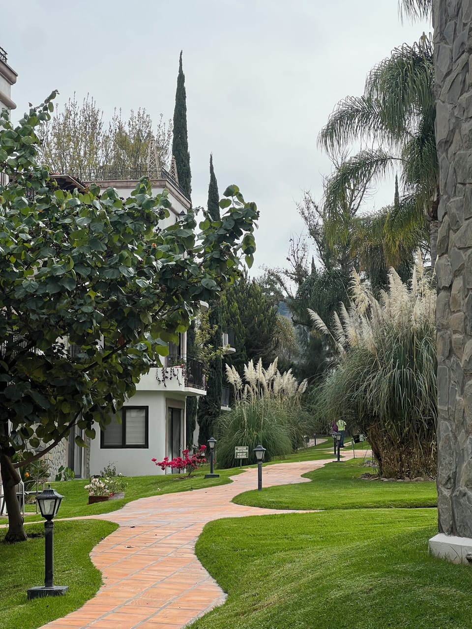 Garden view