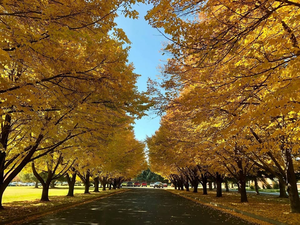 Autumn at (CSI) College of Southern Idaho - (1.6 mi)