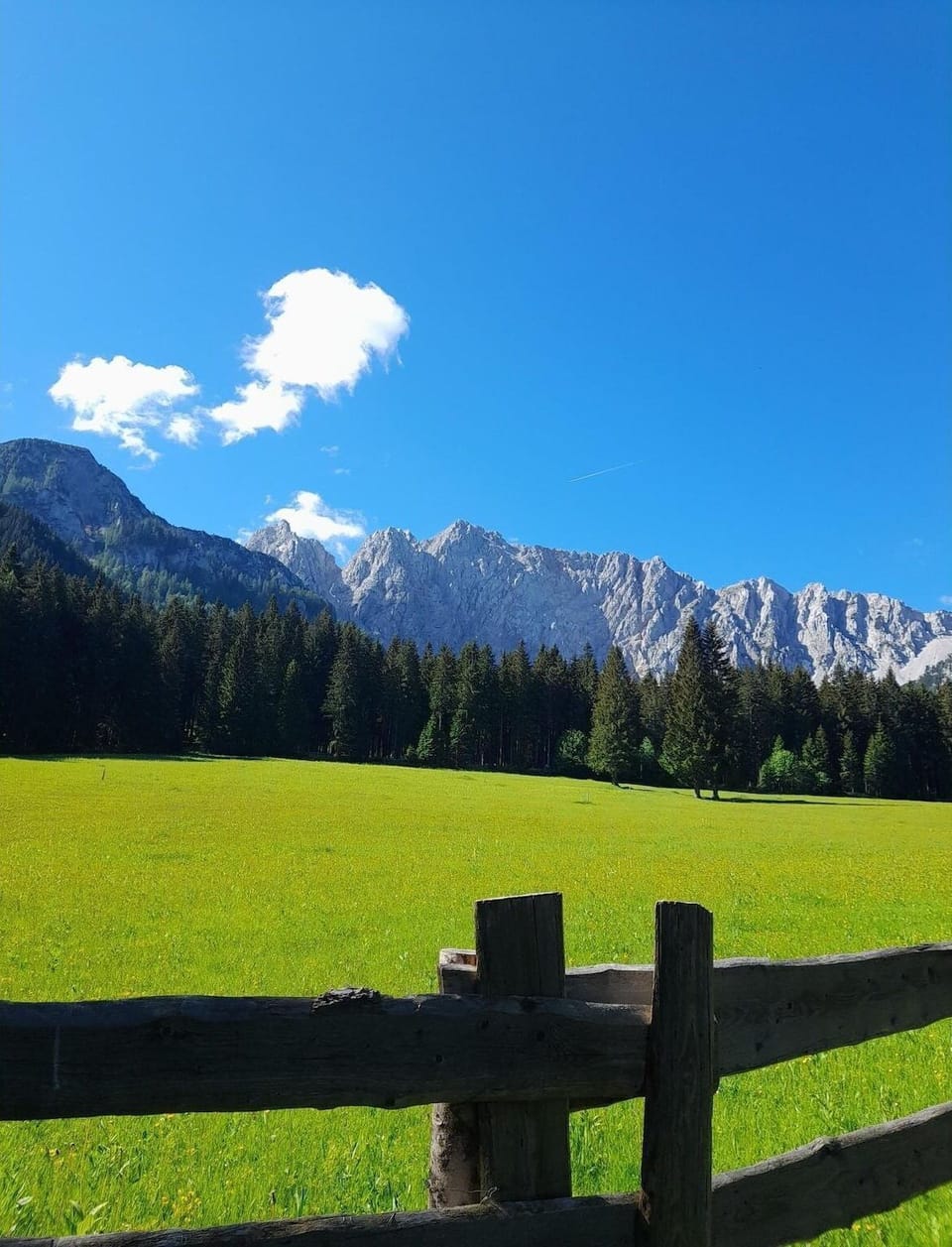 View from Holiday Home [summer]