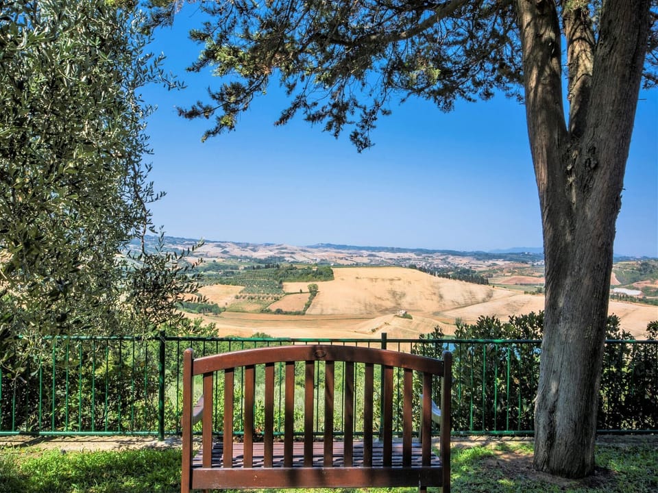 View from Holiday Home [summer]