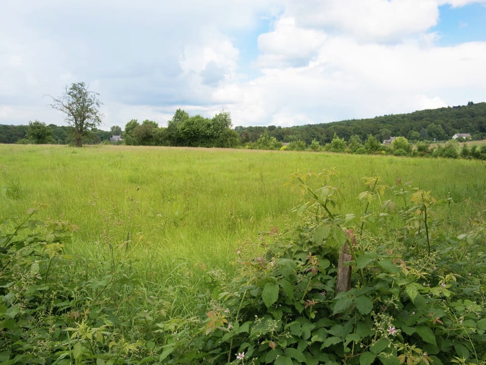 Immediate Surroundings [summer] (<1 km)