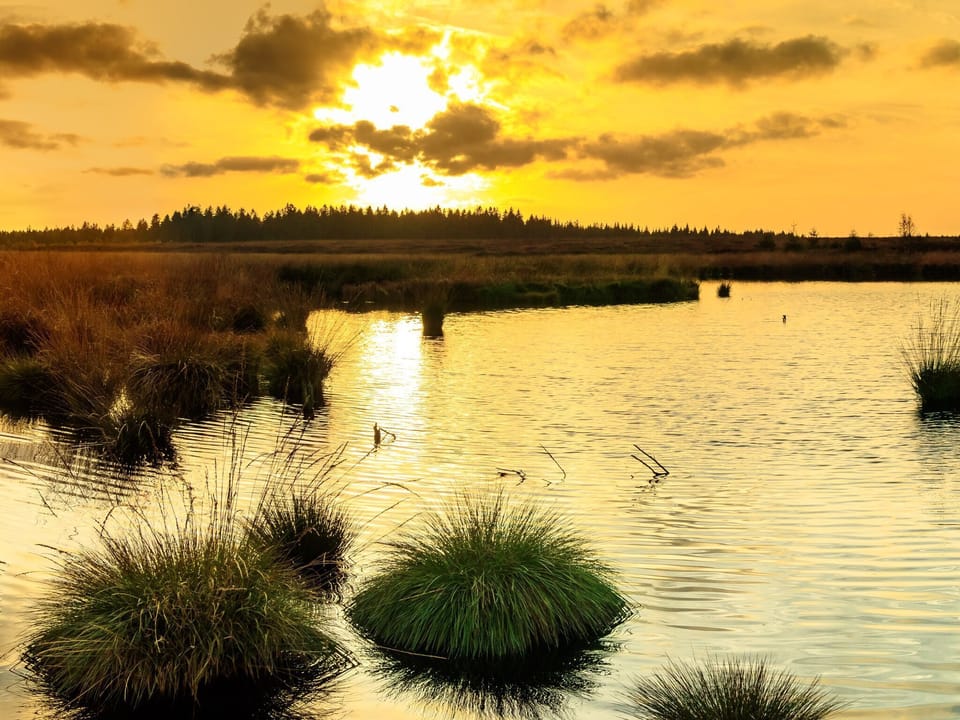 Surroundings [summer] (1-5 km)
