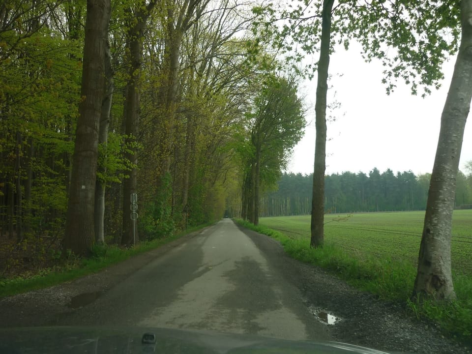 Immediate Surroundings [summer] (<1 km)