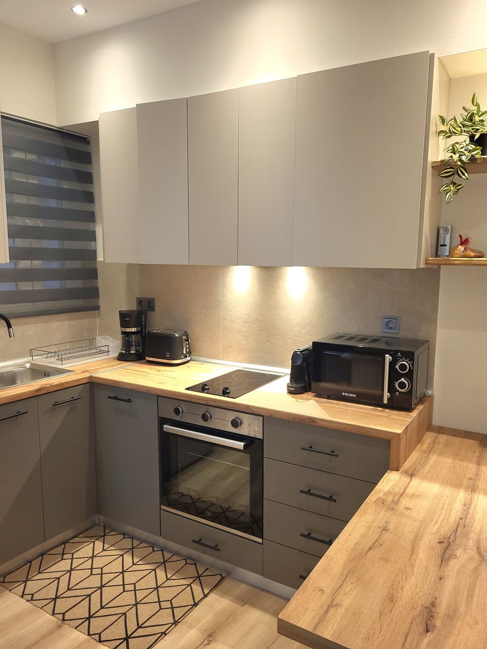 Deluxe Apartment | Private kitchen | Full-size fridge, microwave, oven, stovetop