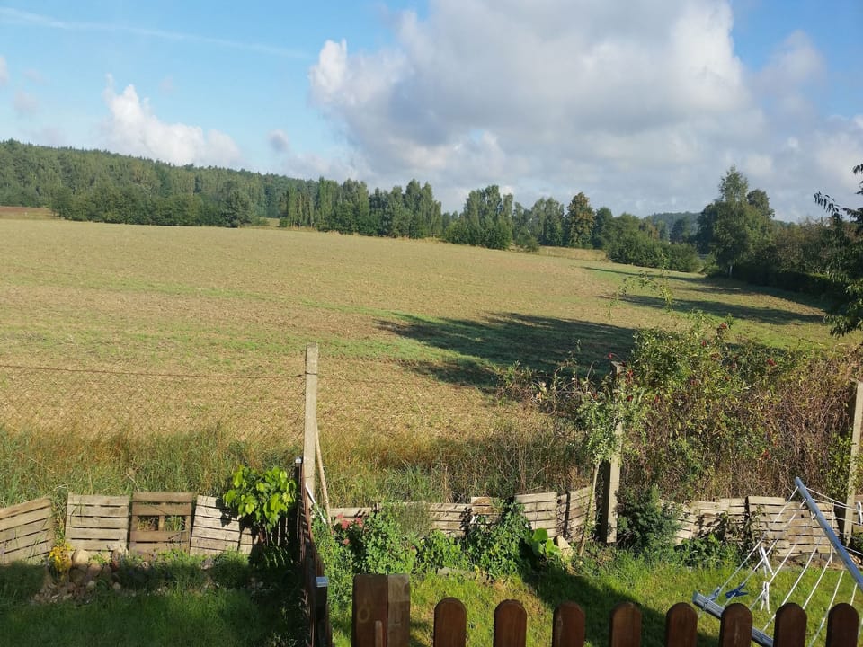 View from Holiday Home [summer]