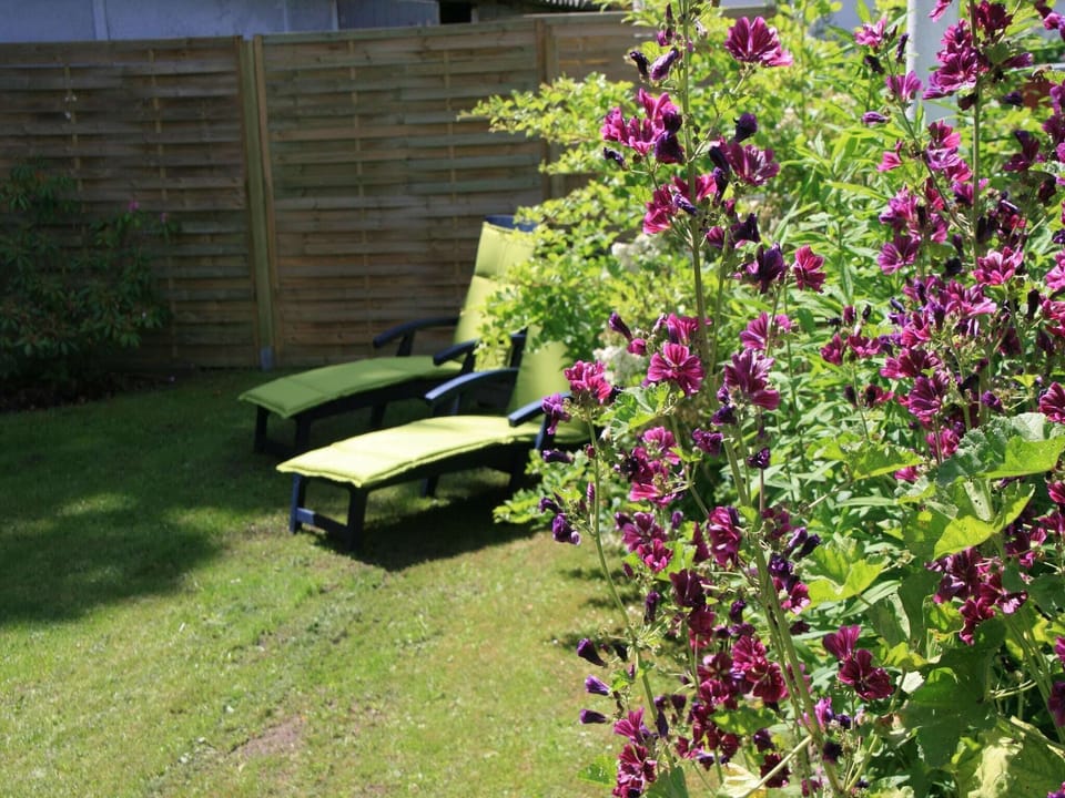 Garden [summer]