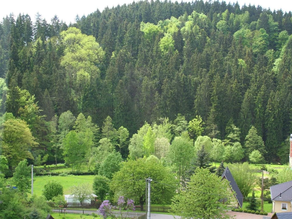 View from Holiday Home [summer]