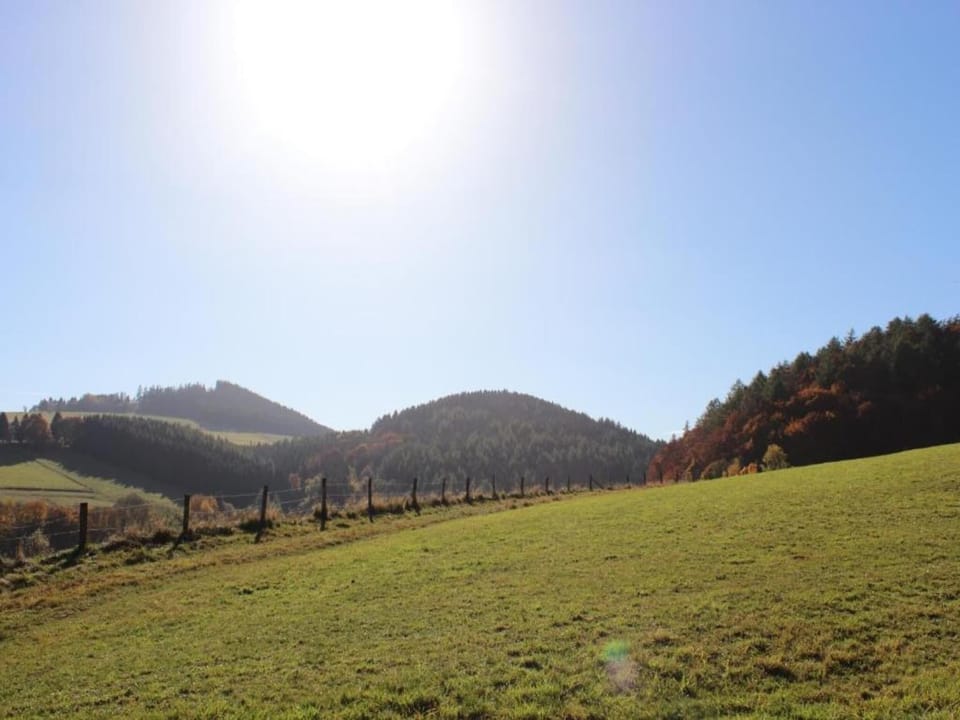 Surroundings [summer] (1-5 km)