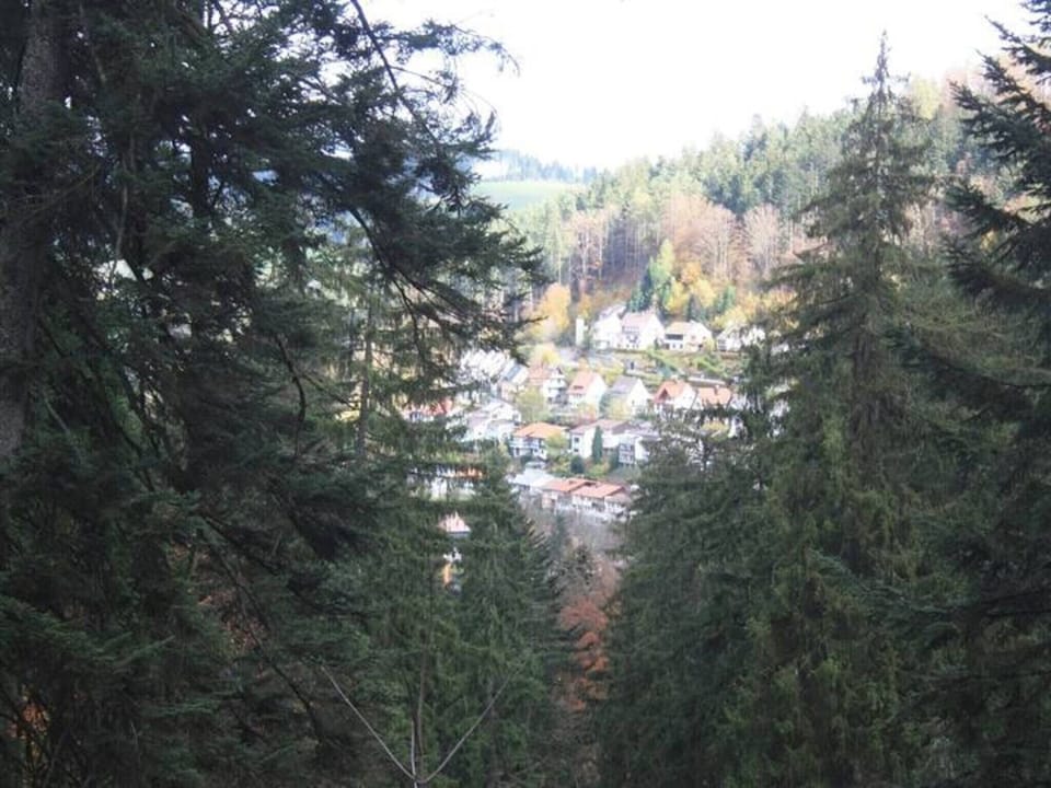 Region [summer] (>5 km)