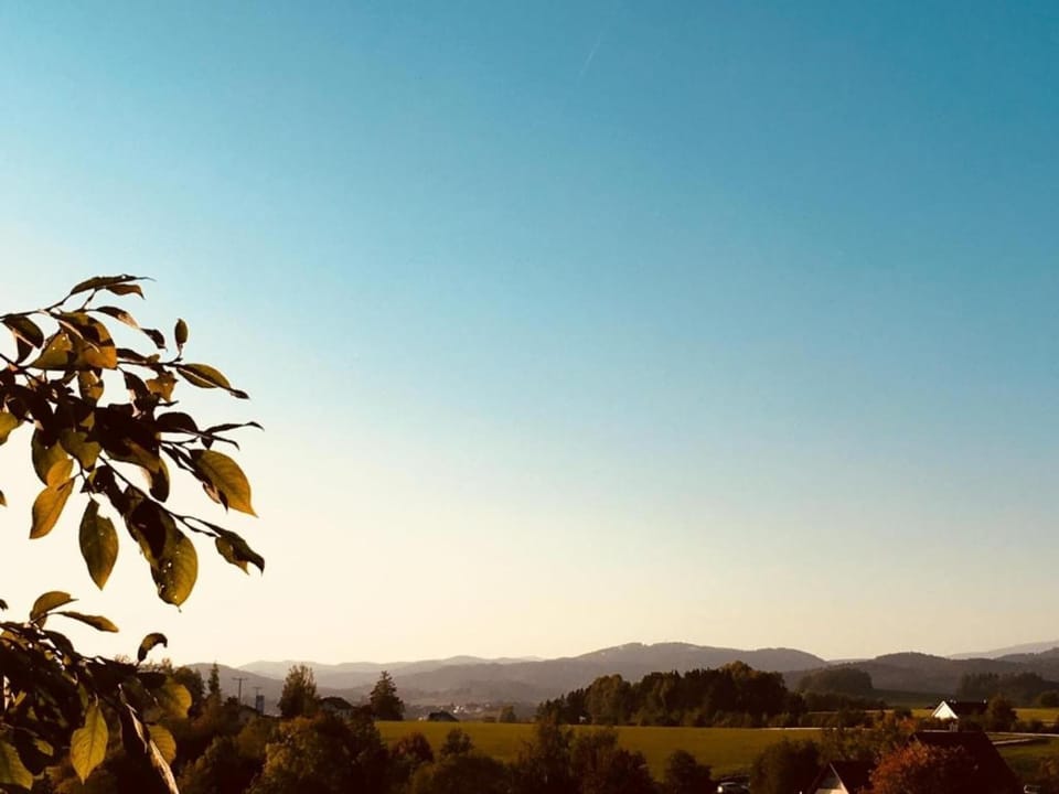 Surroundings [summer] (1-5 km)