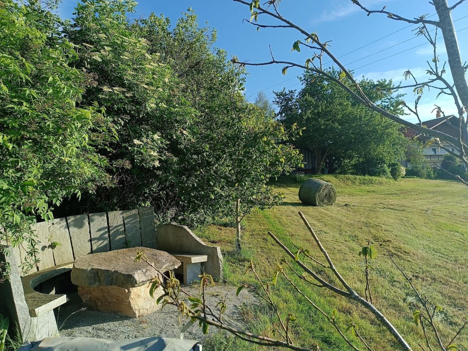 Garden [summer]