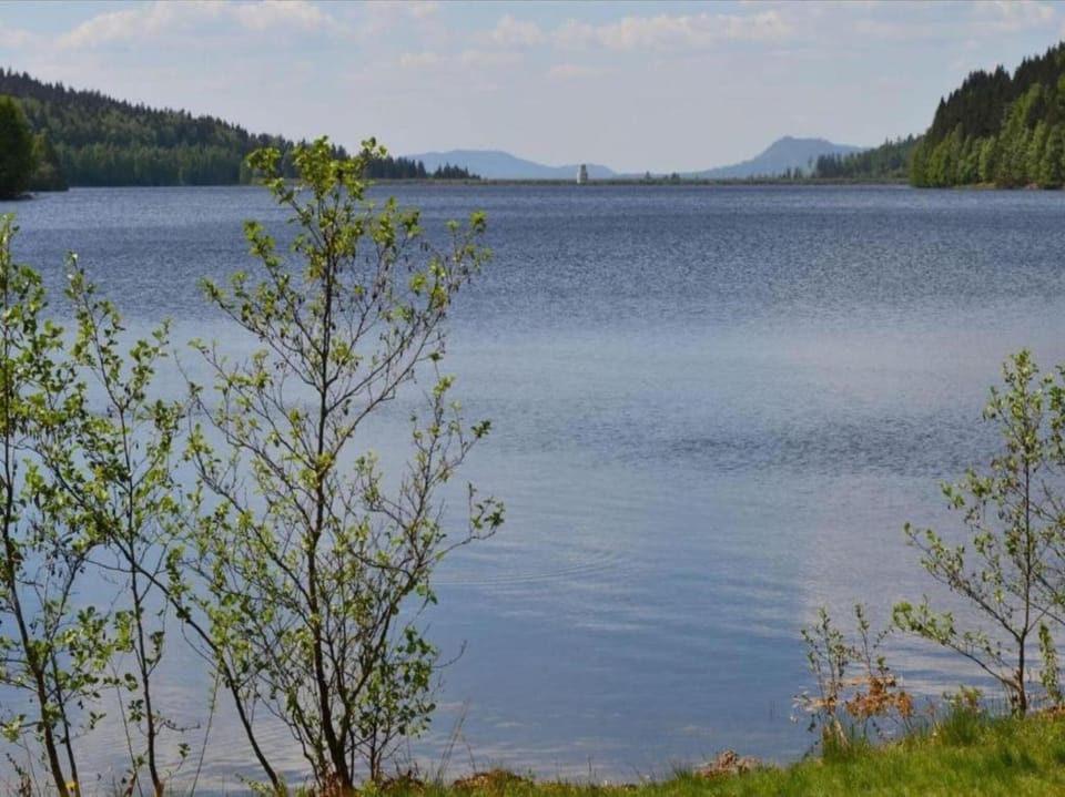 Surroundings [summer] (1-5 km)