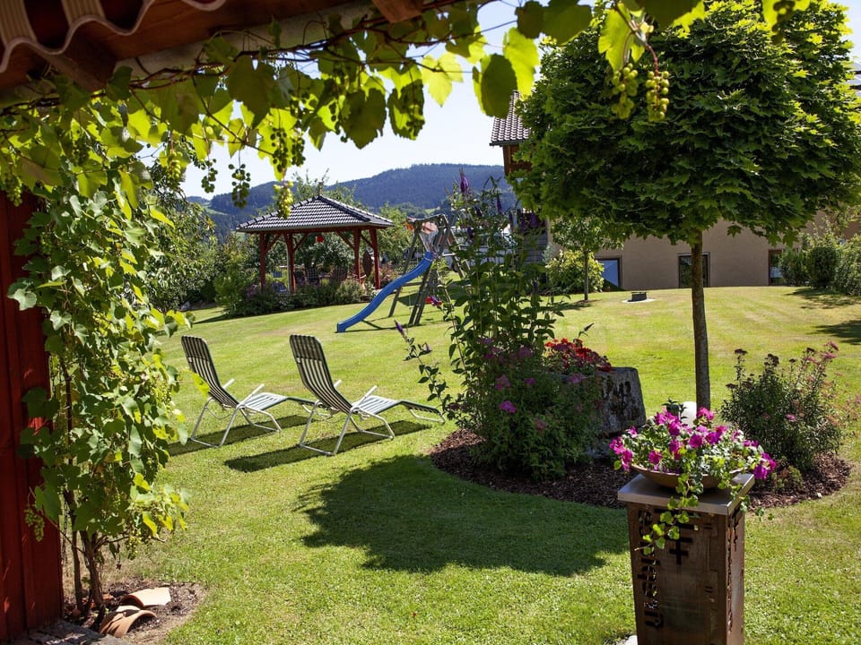 Garden [summer]