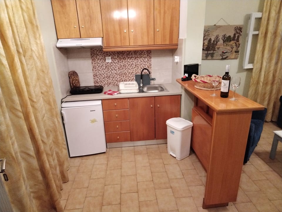 Exclusive Room, 2 Twin Beds | Private kitchen | Espresso maker, fridge, stovetop, electric kettle