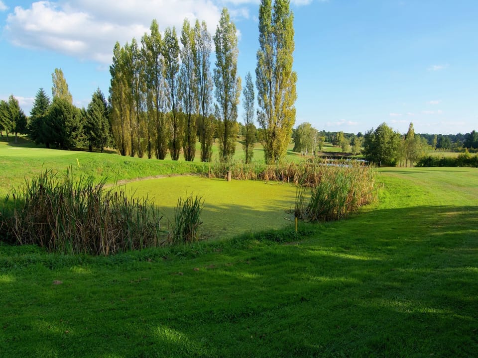 Surroundings [summer] (1-5 km)
