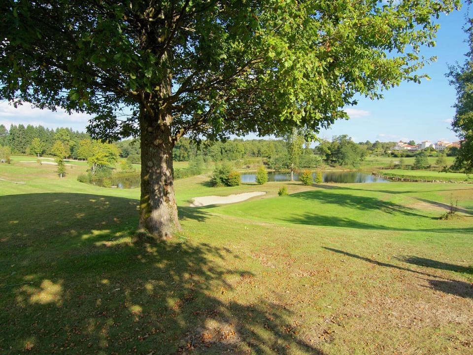 Surroundings [summer] (1-5 km)