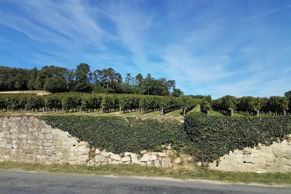 Surroundings [summer] (1-5 km)