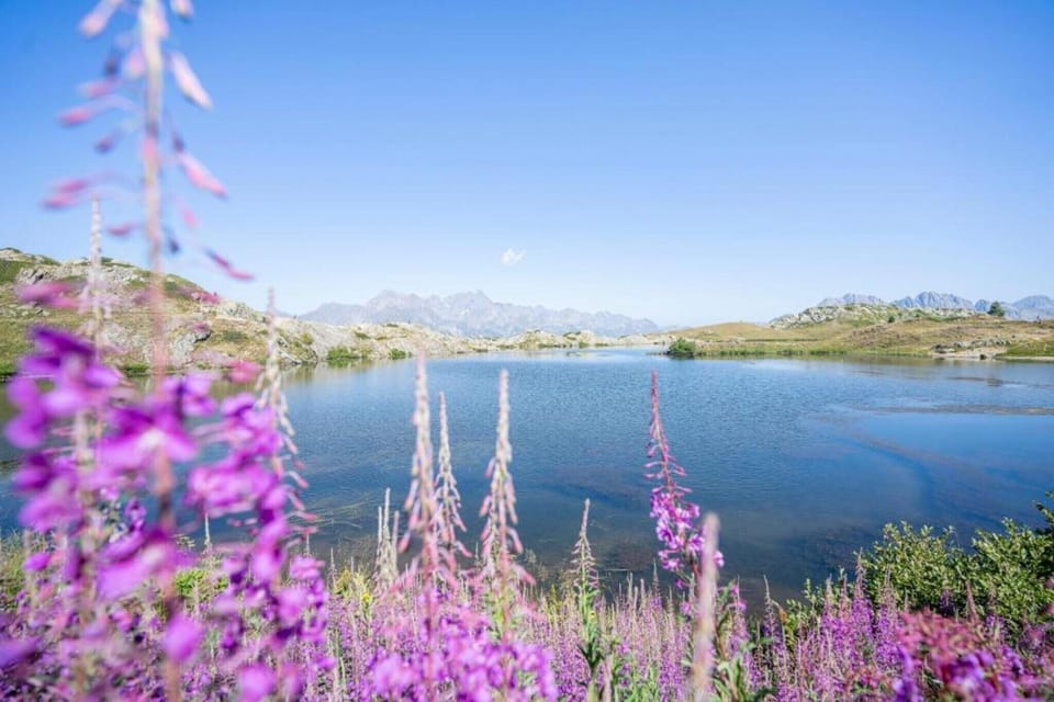 Region [summer] (>5 km)