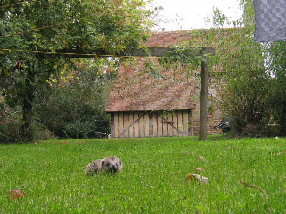 Immediate Surroundings [summer] (<1 km)