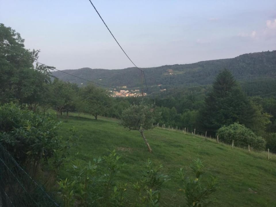 Surroundings [summer] (1-5 km)