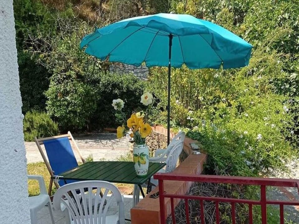 Garden [summer]