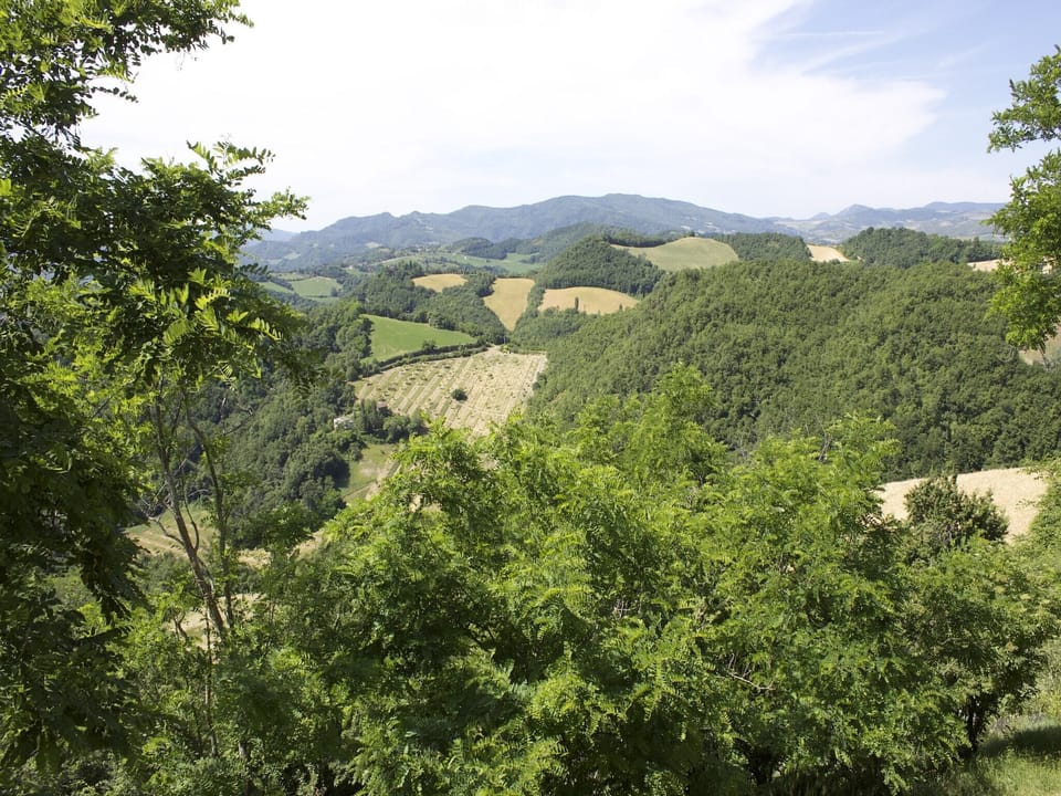 Surroundings [summer] (1-5 km)