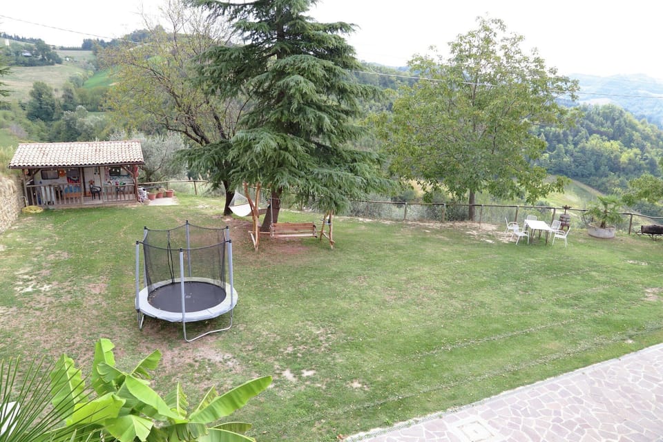 Garden [summer]