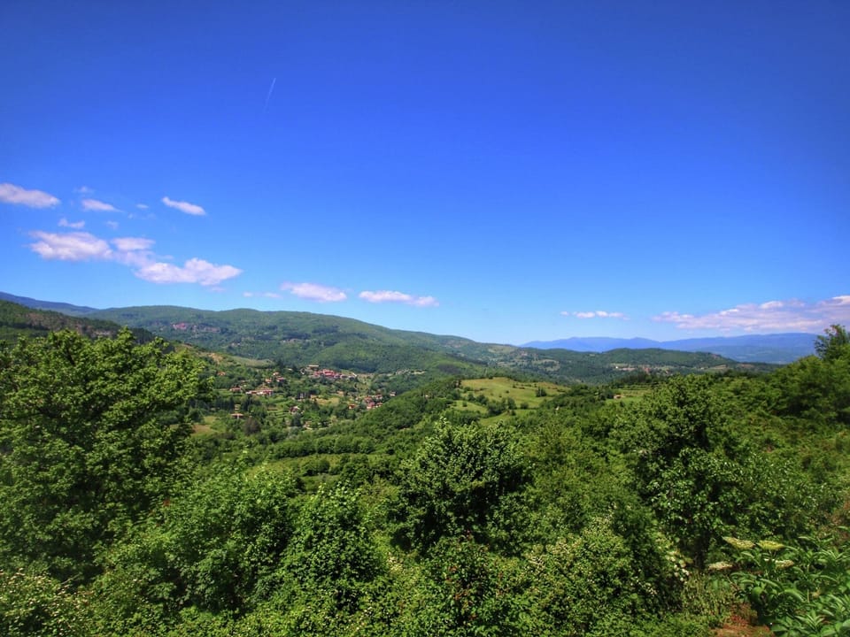 Region [summer] (>5 km)