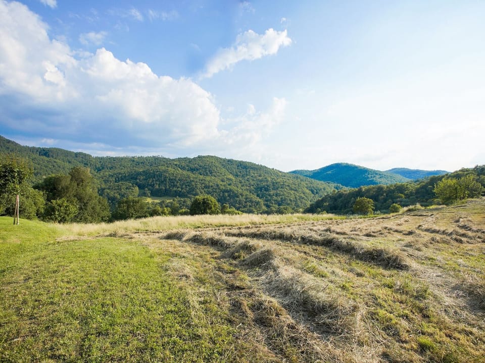 View from Holiday Home [summer]
