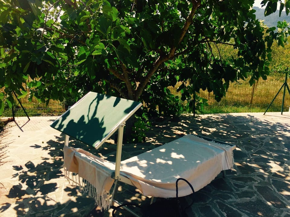 Holiday Home Facilities and Services