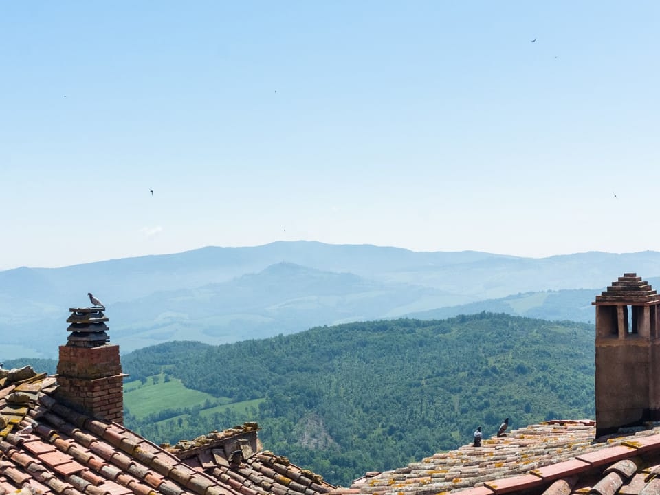 View from Holiday Home [summer]