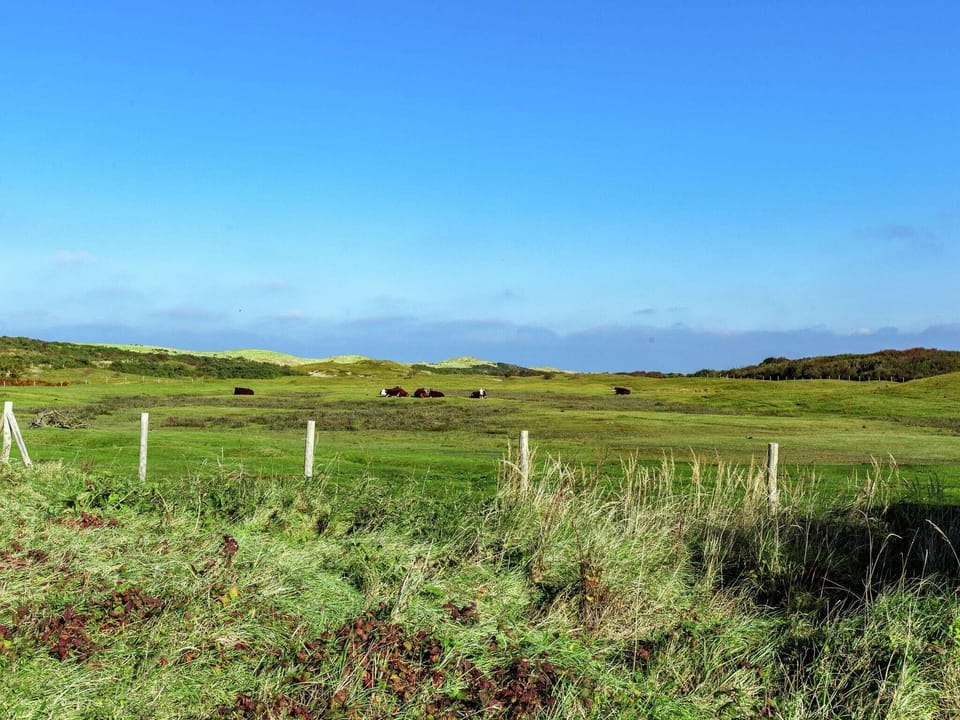 Immediate Surroundings [summer] (<1 km)