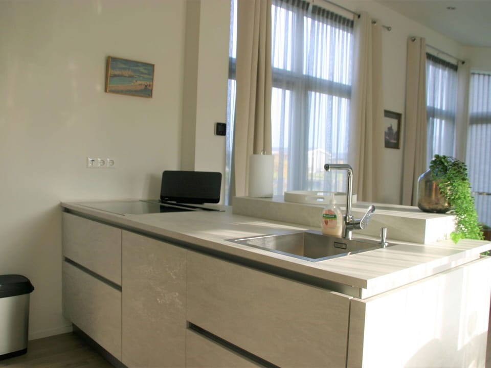 Kitchen Sink, Sink, Cabinetry, Tap, Property, Plant, Window, Countertop, Plumbing Fixture, Houseplant