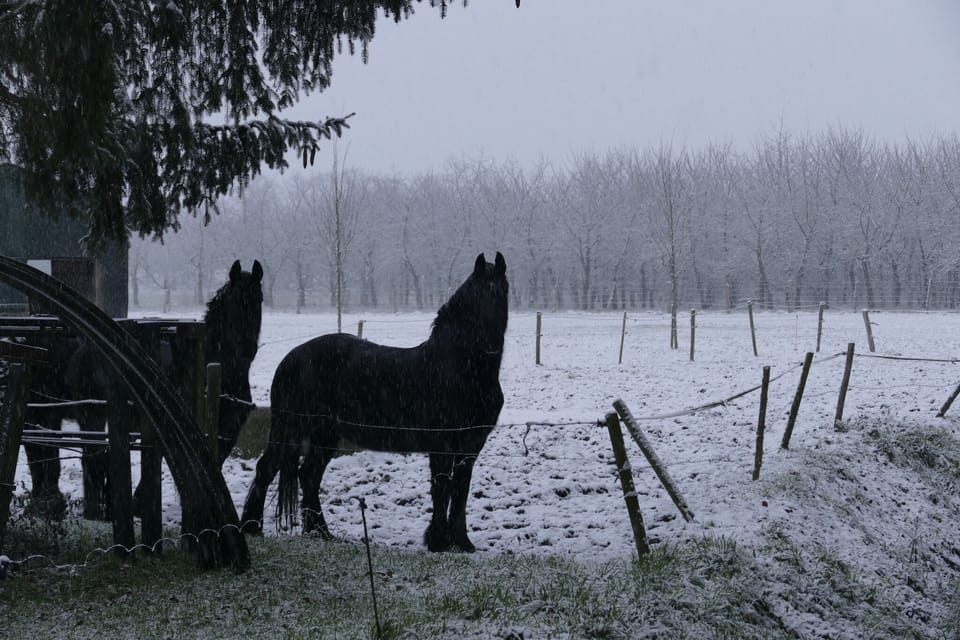 Immediate Surroundings [winter] (<1 km)