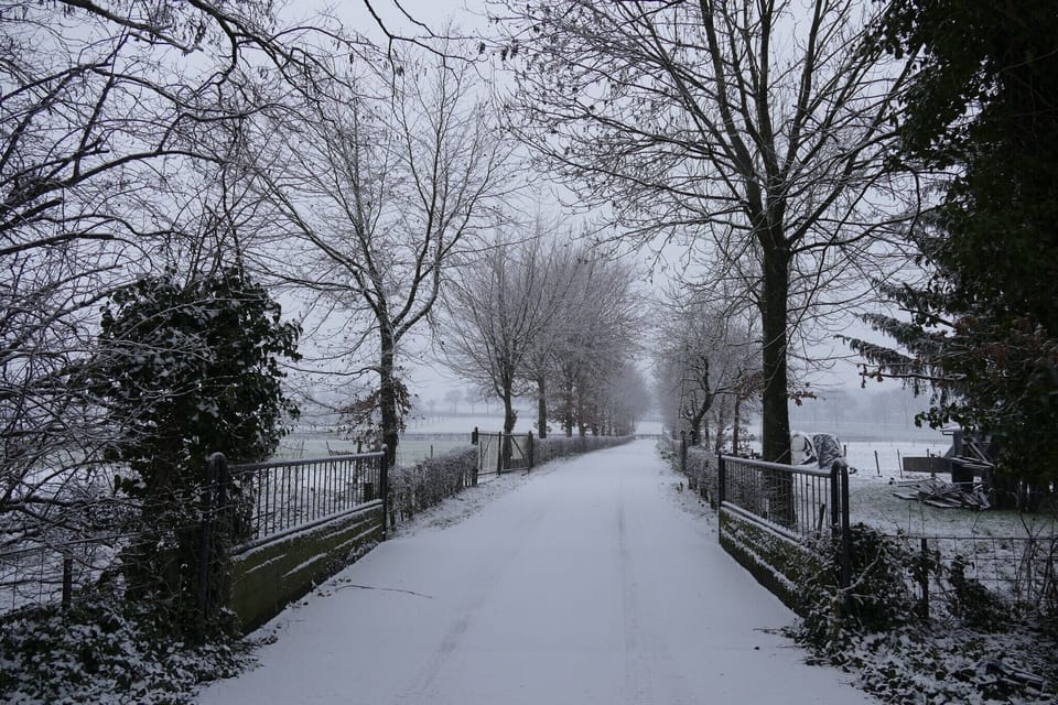 Immediate Surroundings [winter] (<1 km)