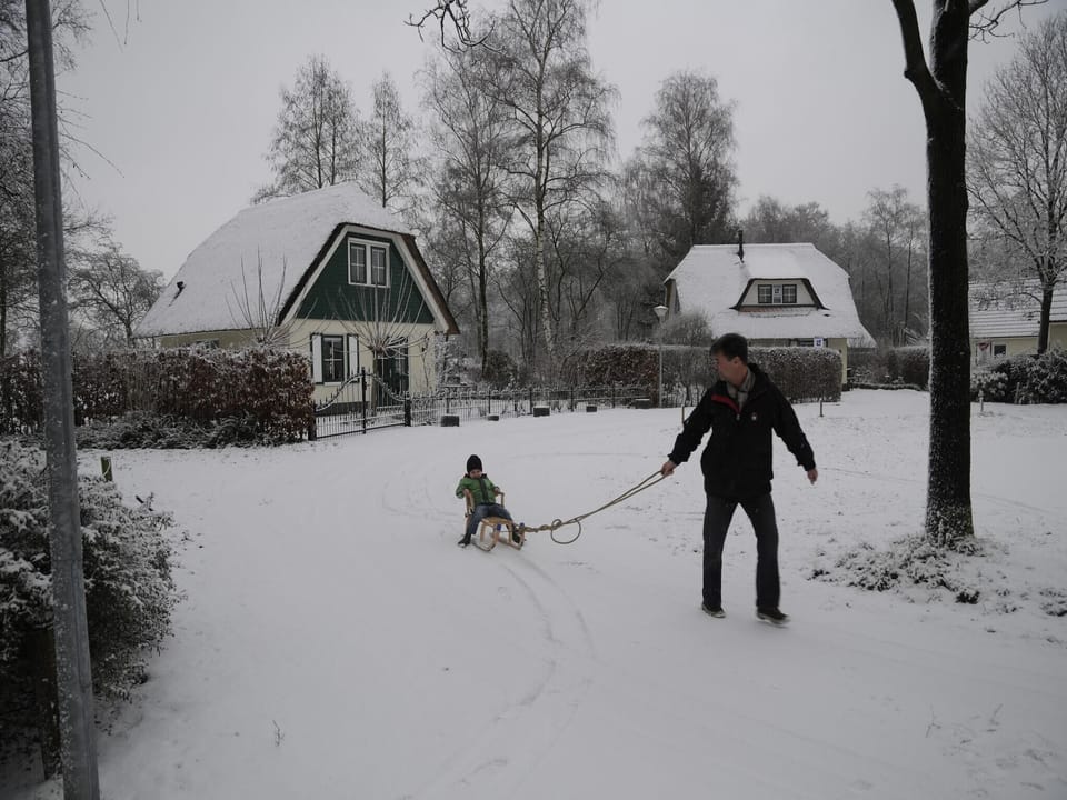 Garden [winter]