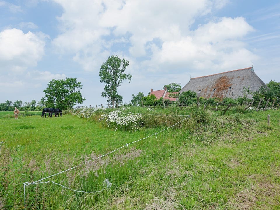 Immediate Surroundings [summer] (<1 km)