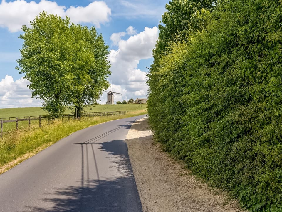 Immediate Surroundings [summer] (<1 km)