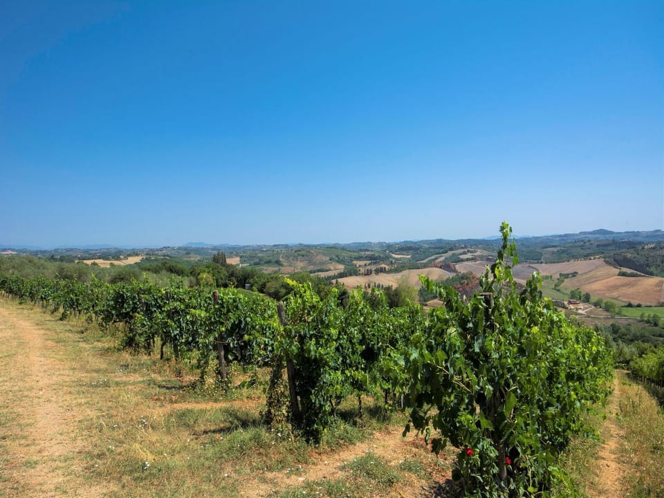 View from Holiday Home [summer]