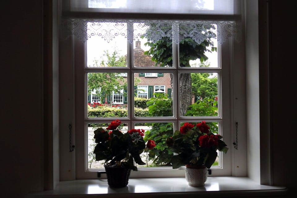 View from Holiday Home [summer]