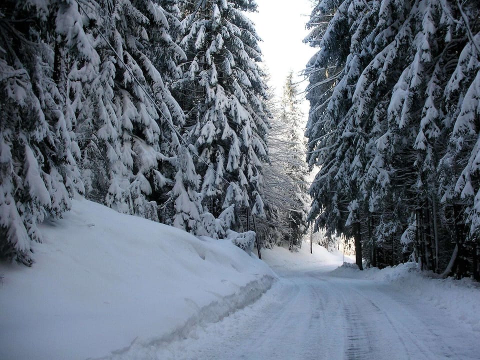 Immediate Surroundings [winter] (<1 km)