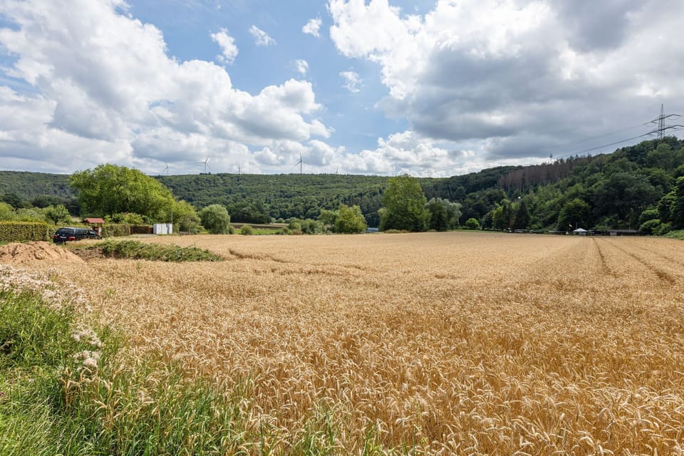 Immediate Surroundings [summer] (<1 km)