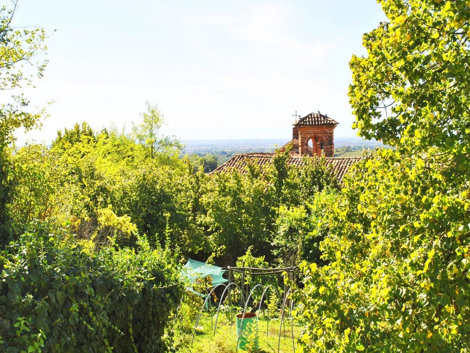 Garden [summer]