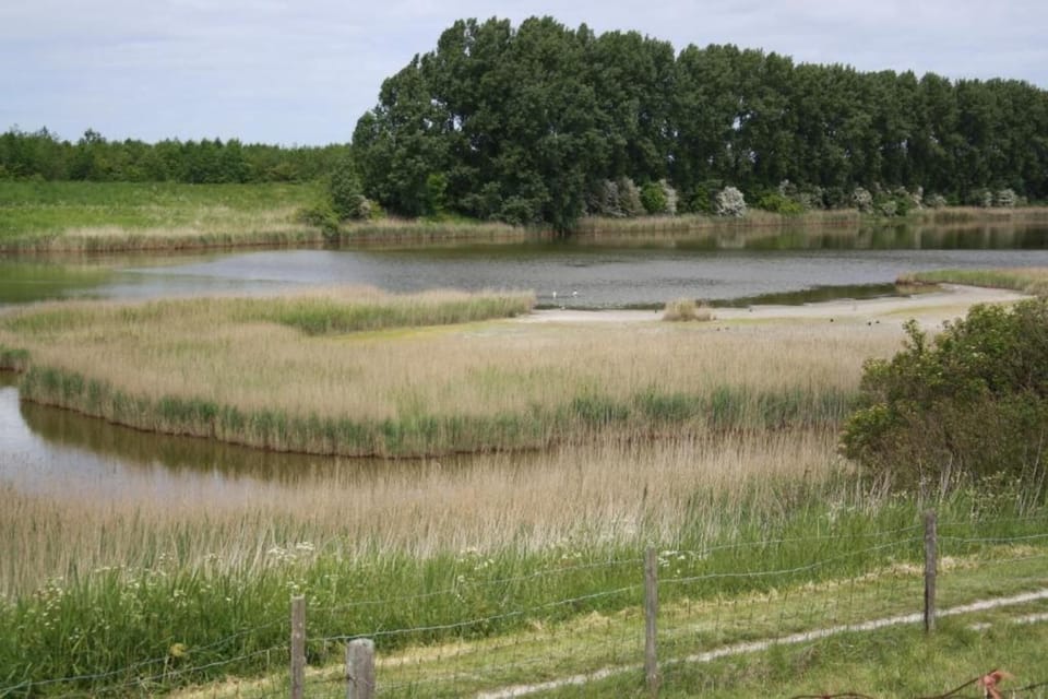 Region [summer] (>5 km)