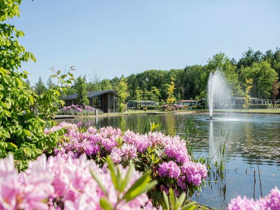 Holiday Park Facilities and Services 