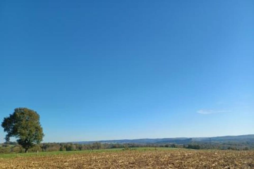 Surroundings [summer] (1-5 km)